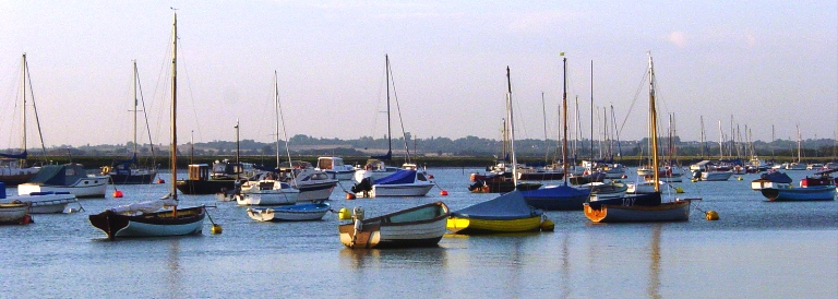 Boats moored in West Mersea harbour
